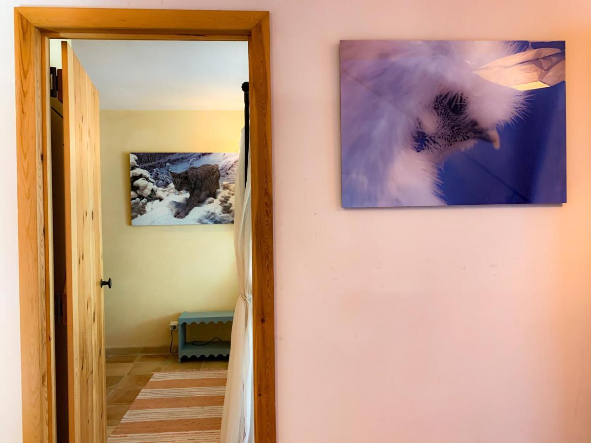 Holiday Home Les Plachettes Flobecq Exterior photo